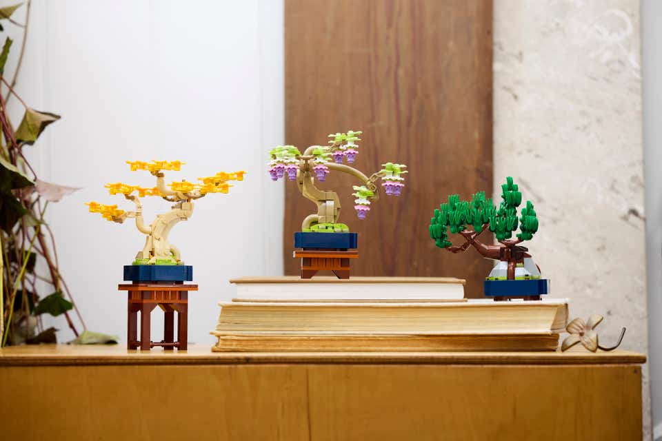 Let Creativity Bloom: New LEGO® Botanicals Sets Arrive This Summer