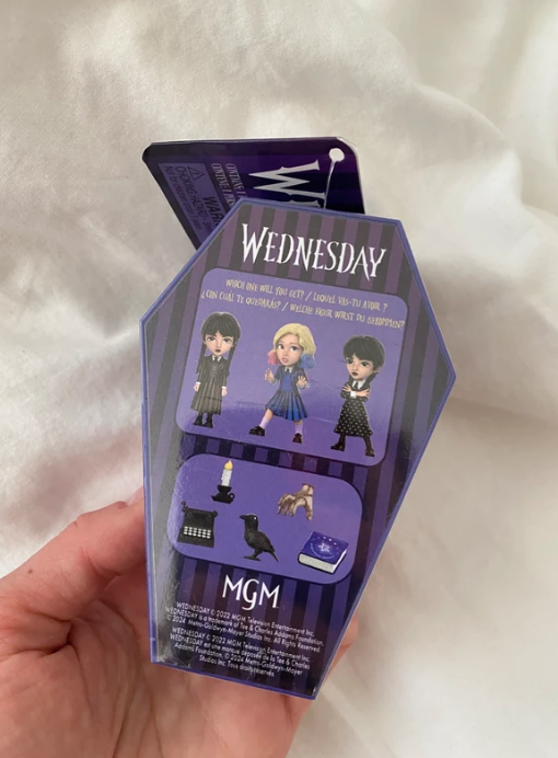 Jada WEDNESDAY 2.5 INCH COFFIN DELUXE BLIND BOX, Display,collect and play toys for Kids and Adults