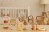 Baby rattle teether set