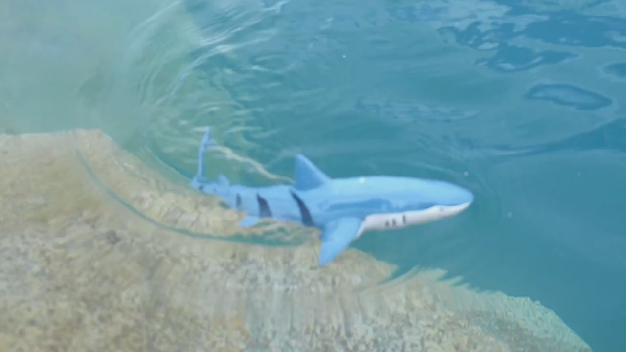 Aqua Predator – Remote Control Shark Toy for Pools and Water Adventures