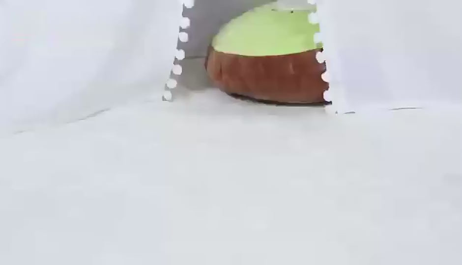 تعادل ریاضی شگفت انگیز پرنده