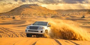 Desert Safari Adventures: A Thrill in the Dunes